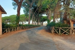 Tenuta Cesarina