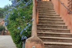 Tenuta Cesarina